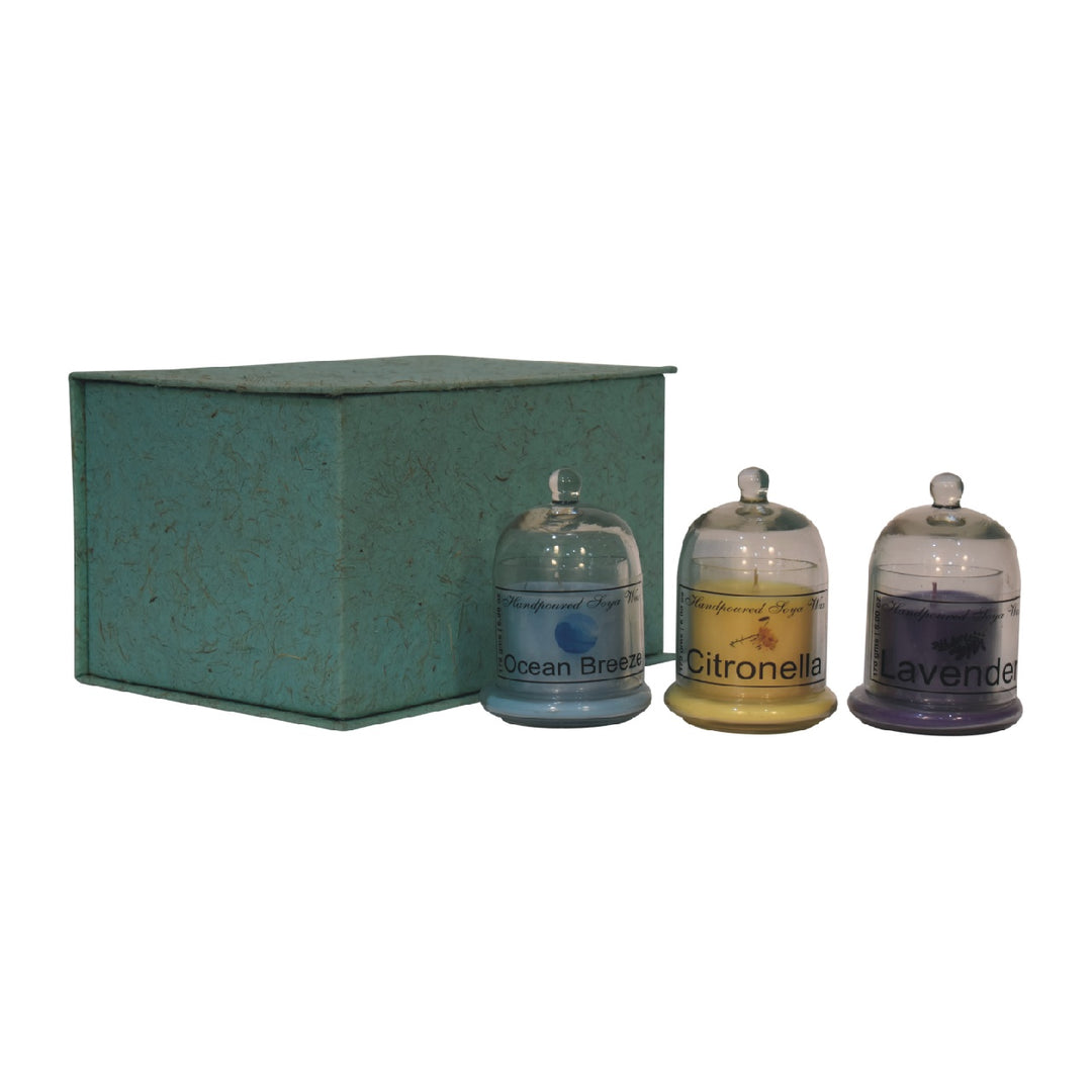 Bell Jar Candle Set (Summer)-Smiddy Furniture
