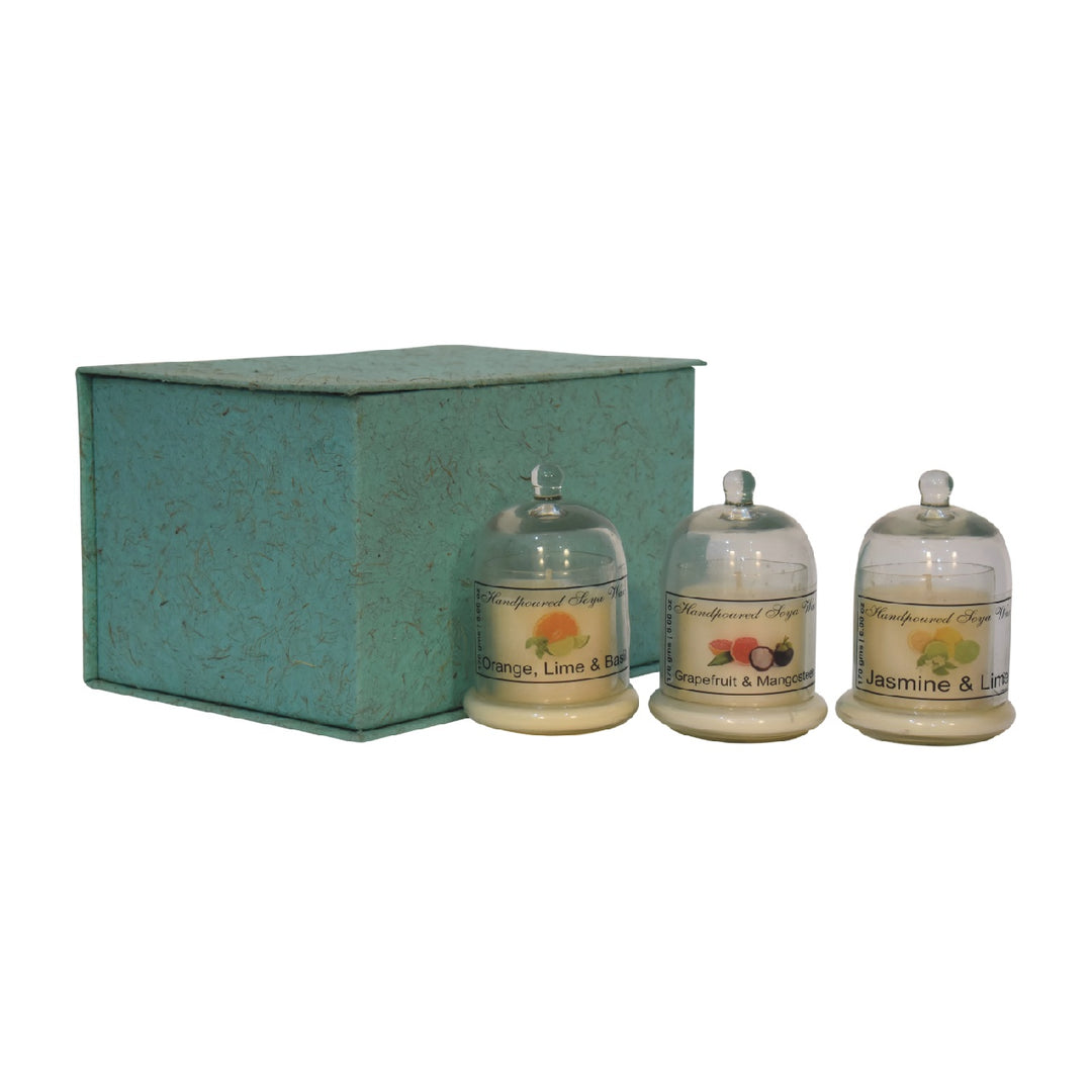 Bell Jar Candle Set of 3 (Fruit)-Smiddy Furniture