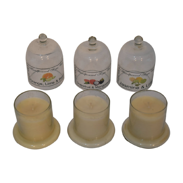 Bell Jar Candle Set of 3 (Fruit)-Smiddy Furniture