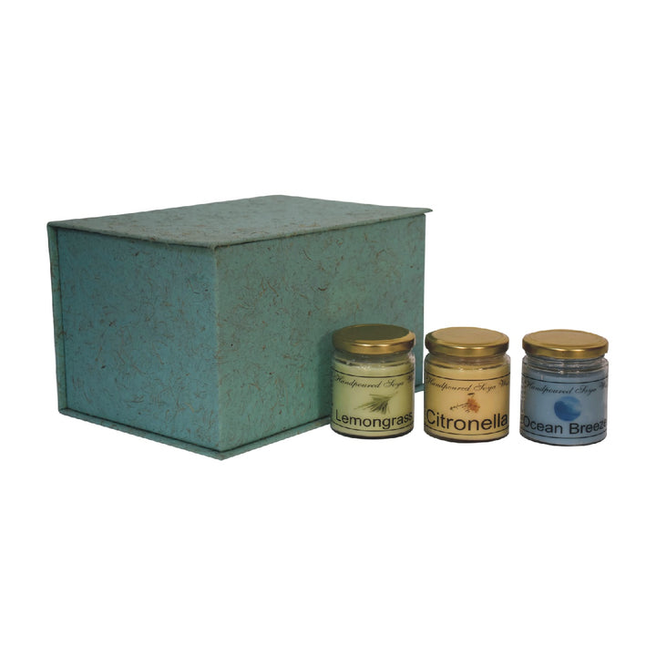 Candle Gift Set of 3 (Summer) - Smiddy Furniture