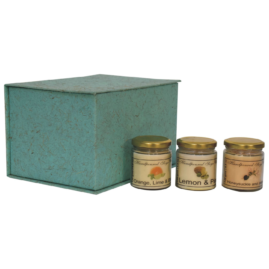 Candle Gift Set of 3 (Fruit) - Smiddy Furniture