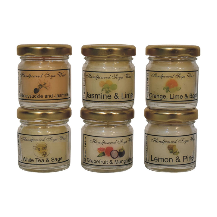 Mini Candle Set of 6 (Fruit)-Smiddy Furniture