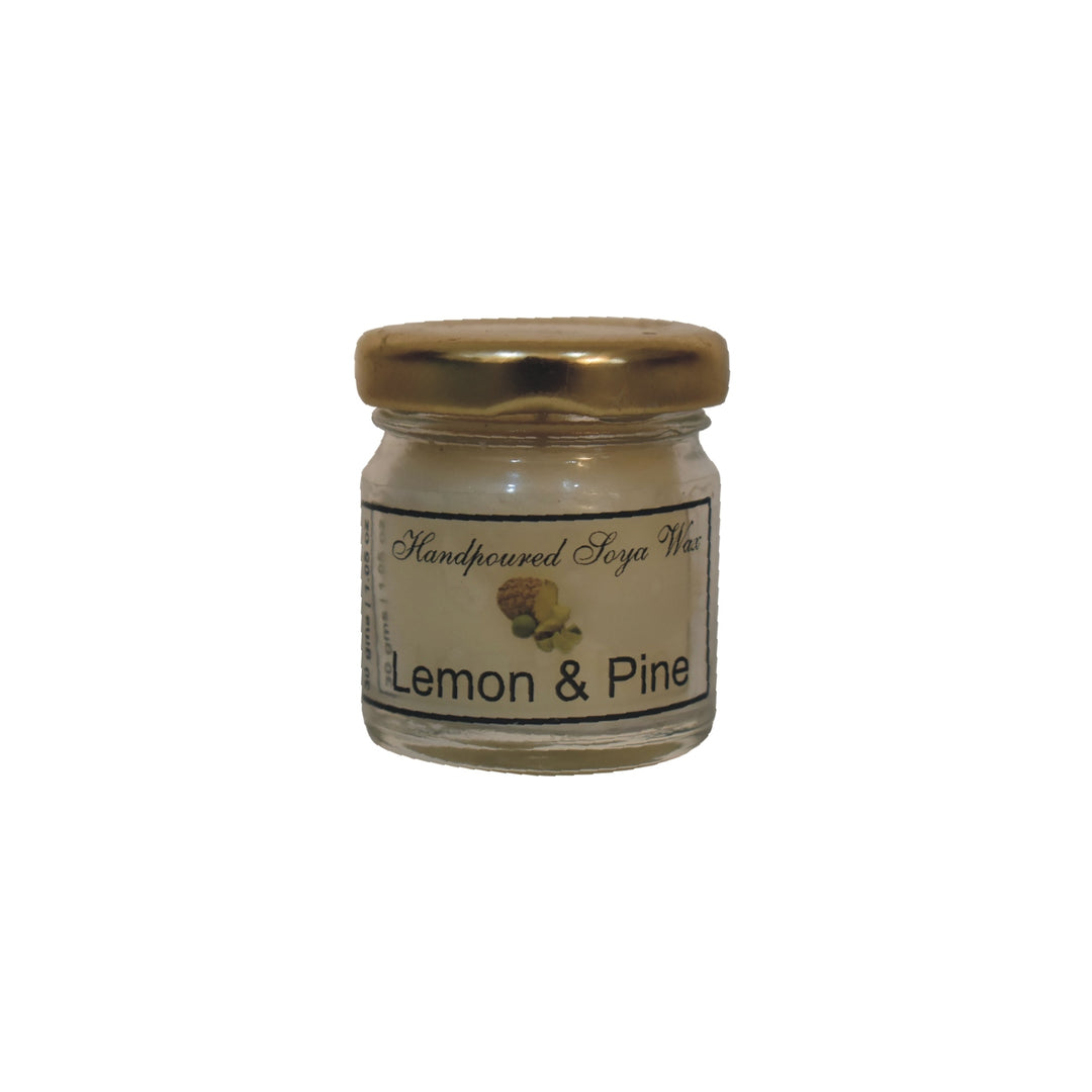 Mini Candle Set of 6 (Fruit)-Smiddy Furniture