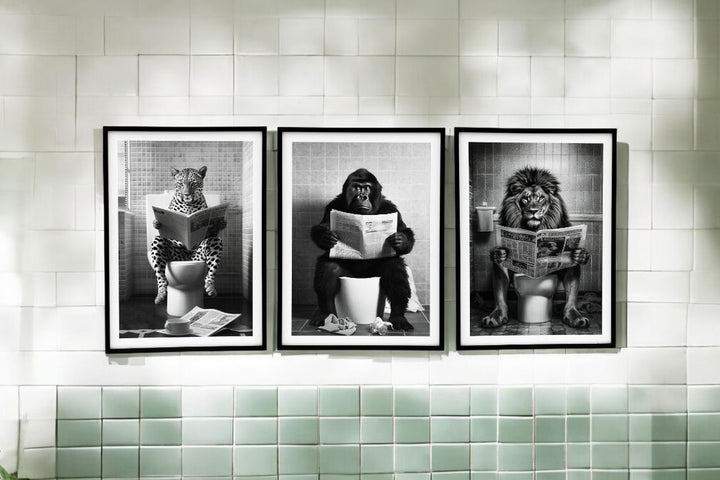 Set of 3 Animal's on the Toilet Framed Canvas 45x60cm - Geko Products