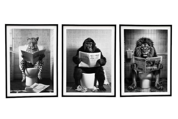 Set of 3 Animal's on the Toilet Framed Canvas 45x60cm - Geko Products
