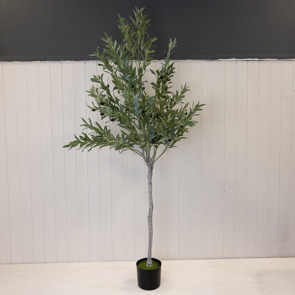 Artificial Olive Tree 180cm
