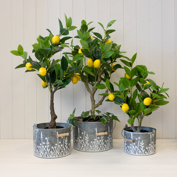 Meadow Design Buckets - Set of 3