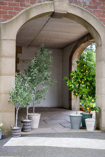 Artificial Olive Tree 150cm