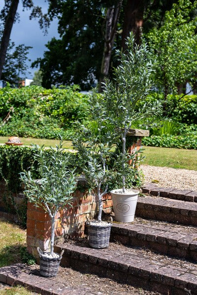 Artificial Olive Tree 180cm
