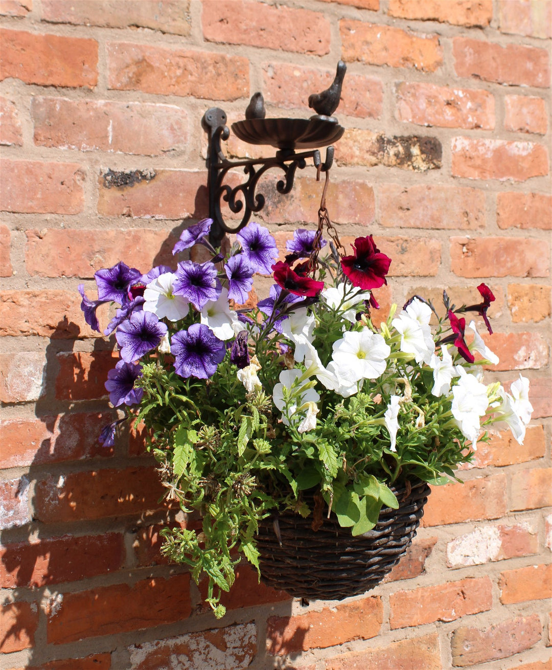 Cast Iron Hanging Basket Wall Bracket With Bird Feeder - Smiddy Furniture3