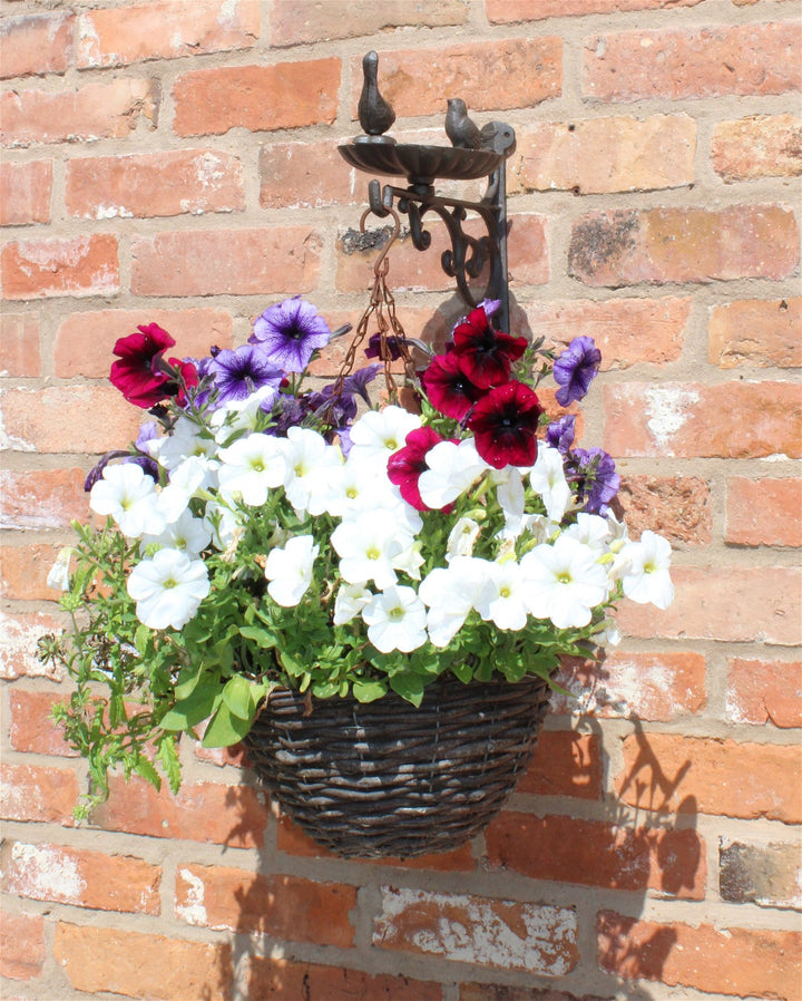 Cast Iron Hanging Basket Wall Bracket With Bird Feeder - Smiddy Furniture4