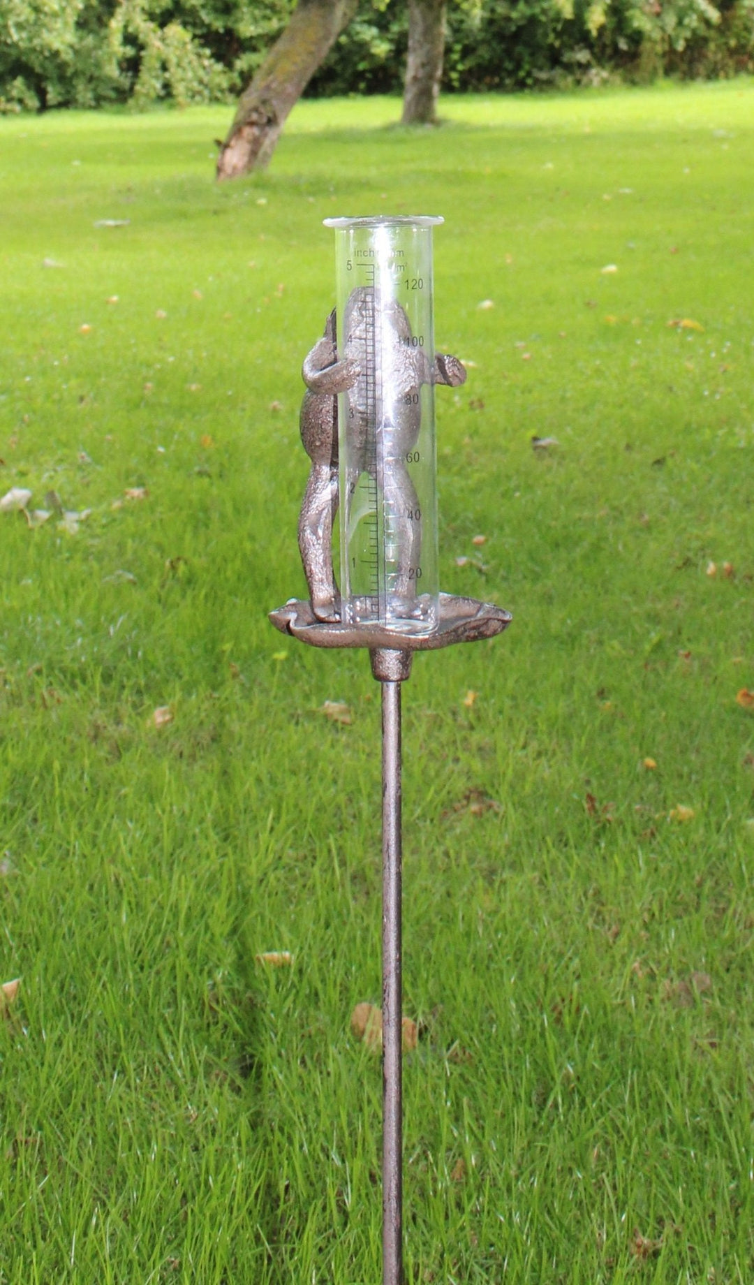Cast Iron and Glass Garden Rain Gauge, Frog On Lily Pad - Smiddy Furniture-3