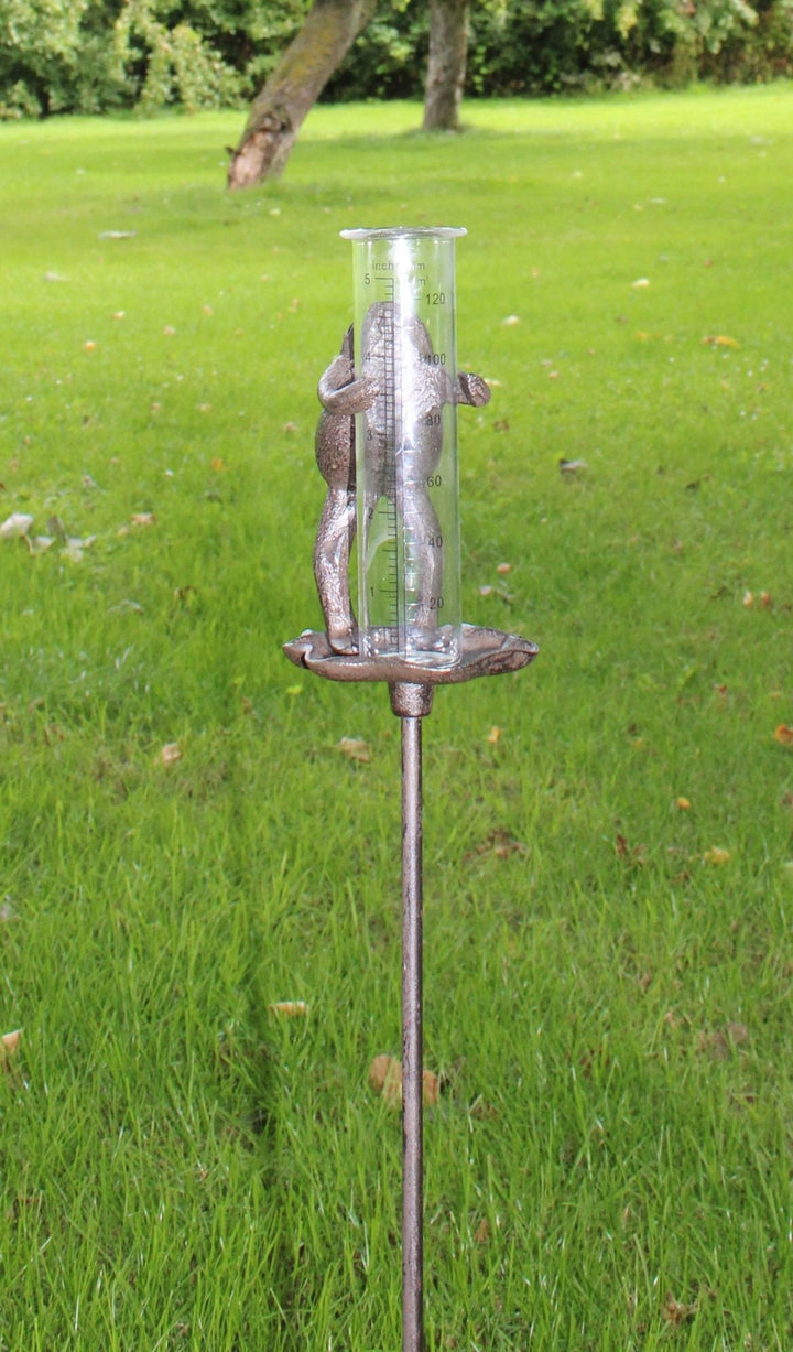 Cast Iron and Glass Garden Rain Gauge, Frog On Lily Pad - Smiddy Furniture-3