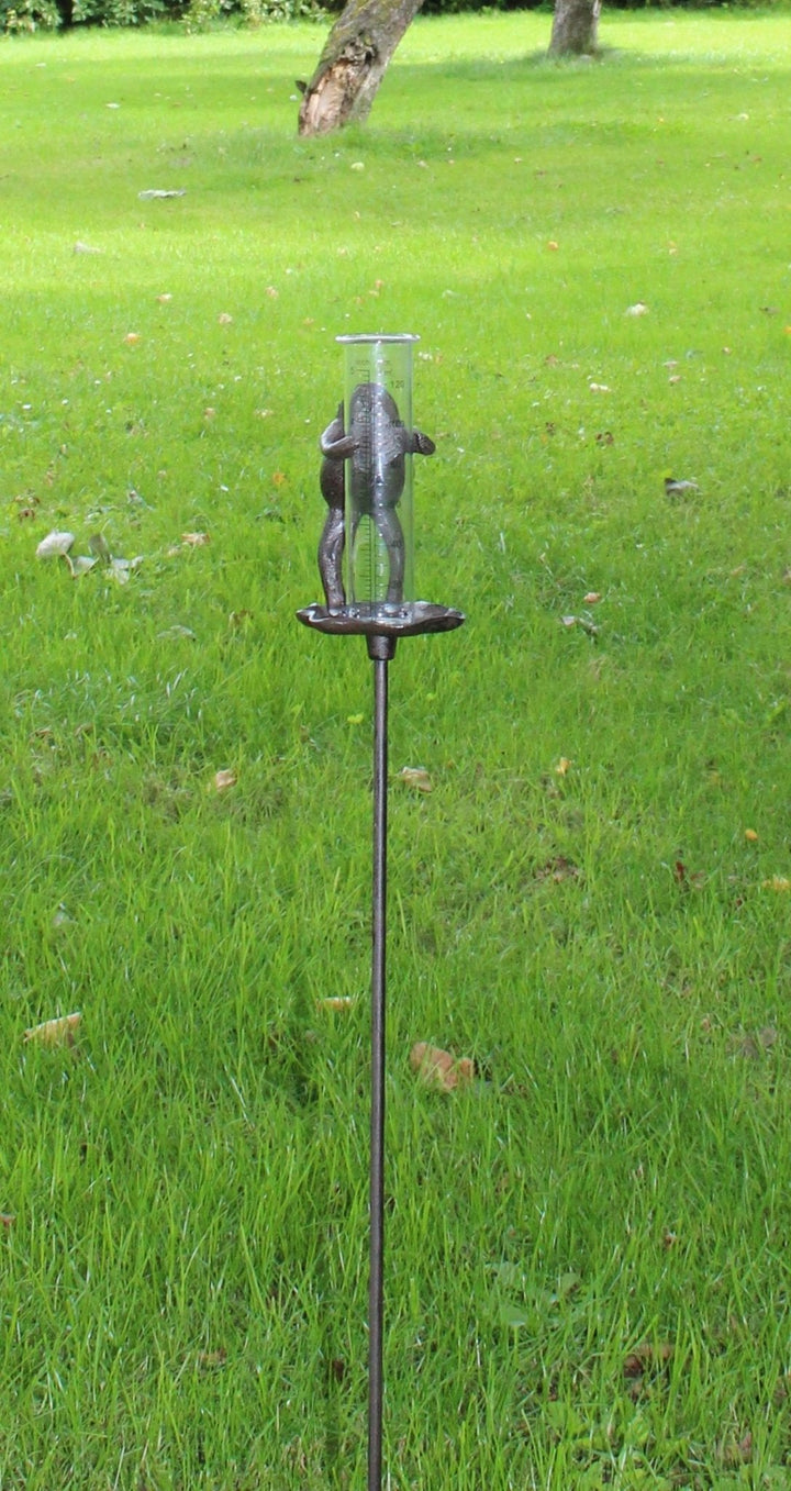Cast Iron and Glass Garden Rain Gauge, Frog On Lily Pad - Smiddy Furniture-4