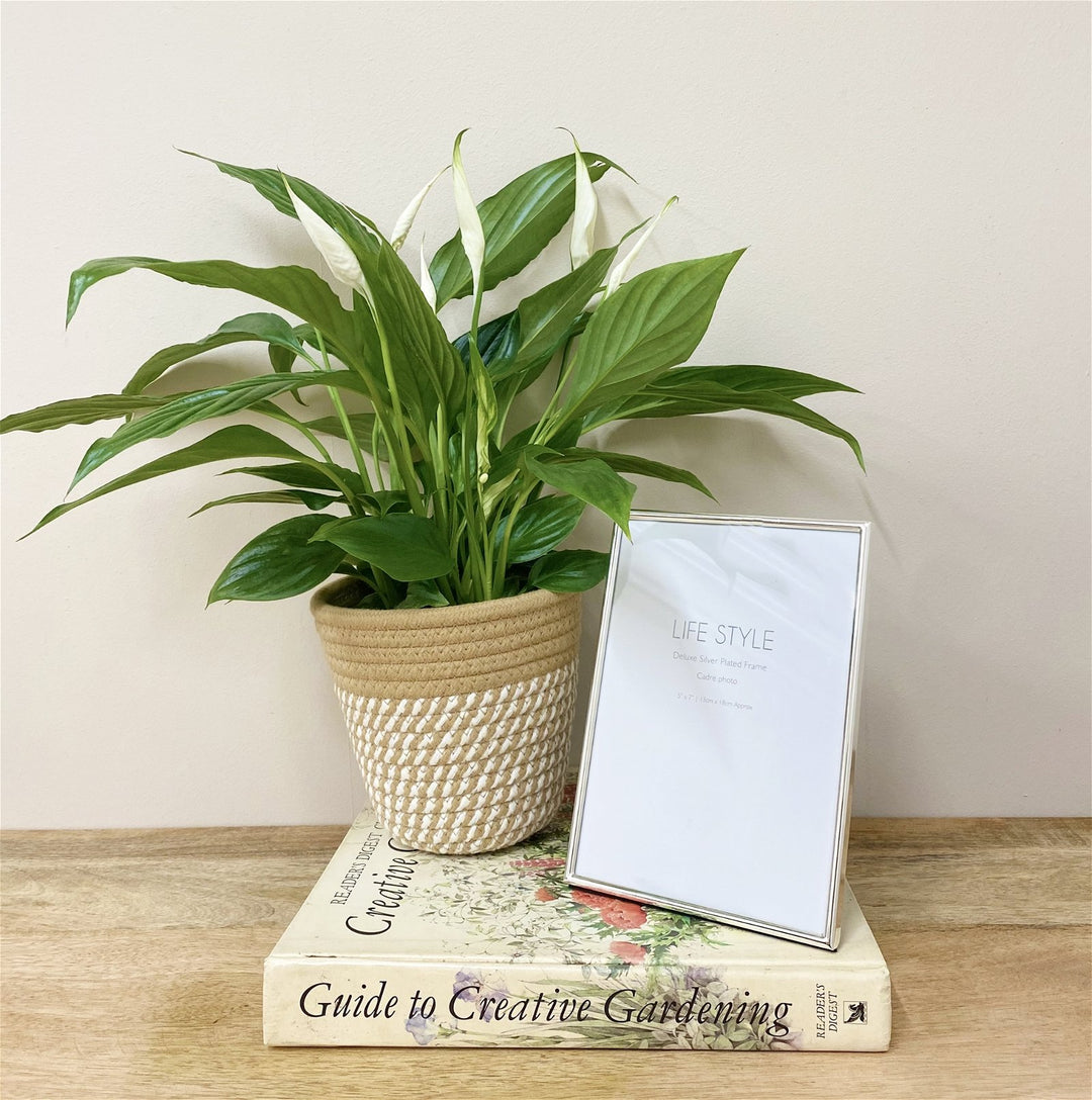 Silver Plated Edge Frame 5 x 7' - Smiddy Furniture-2