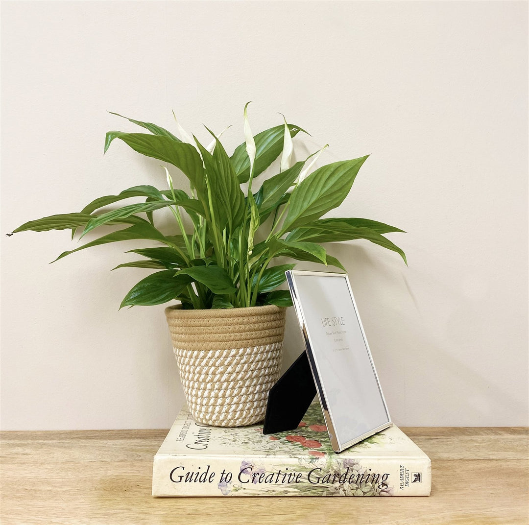 Silver Plated Edge Frame 5 x 7' - Smiddy Furniture-3